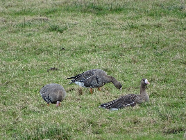 的一部分 的一部分