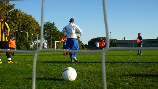 齐米卡斯将 齐米卡斯将