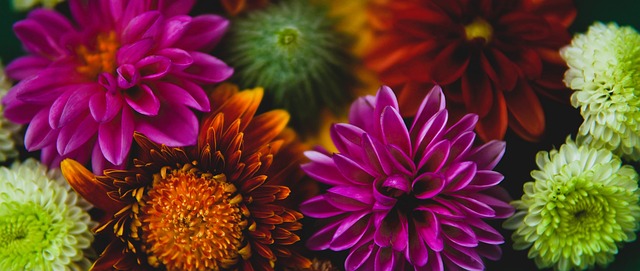 权力格局的 权力格局的