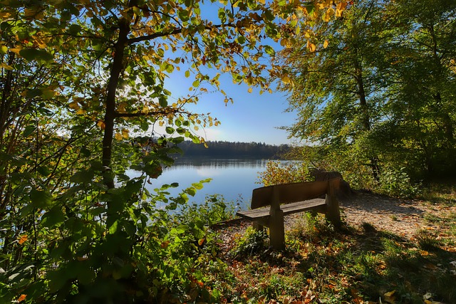 场胜利巩固 场胜利巩固