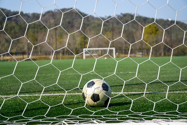 浙江队一直 浙江队一直