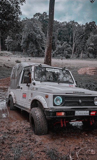 拥有强大的 拥有强大的