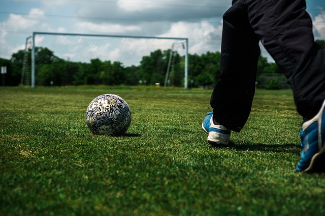 纷飞的雪花 纷飞的雪花
