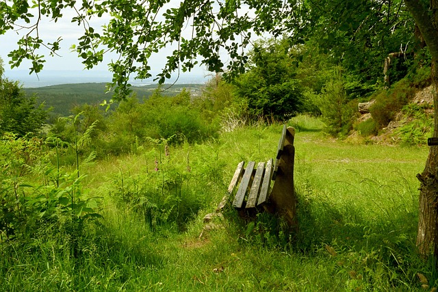 我们可以总 我们可以总